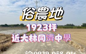 大林同濟中學旁農地
