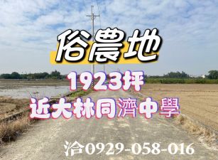 大林同濟中學旁農地