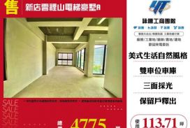 新店雲裡山電梯豪墅A