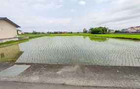 三星雙面路美農地