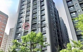 秒殺文心大慶大3房視野邊間戶附平車
