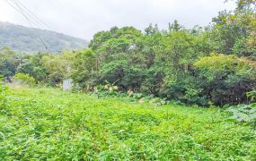 頭城住宅區方正建地