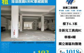 【大勝哥桃園買房】海湖挑高6米RC車梯廠房