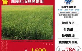 【大勝哥桃園買房】新屋近市區角地田