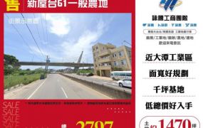【大勝哥桃園買房】新屋台61一般農地