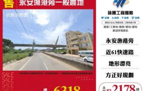 【大勝哥桃園買房】永安漁港旁一般農地