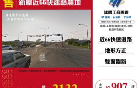 【大勝哥桃園買房】新屋近66快速路農地