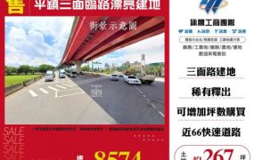 【大勝哥桃園買房】平鎮三面臨路漂亮建地