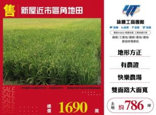 【大勝哥桃園買房】新屋近市區角地田