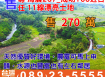 海267_成功100近台11線漂亮土地