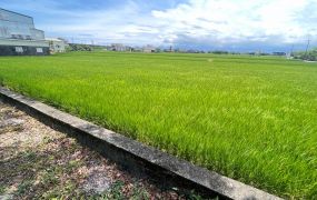 ★住商-張霞★近高速公路雙面路農地