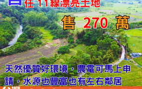 海267_成功100近台11線漂亮土地