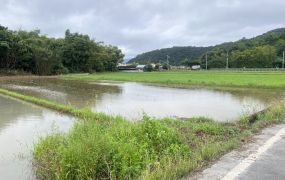 ★住商-張霞★三民台2庚足坪大面寬農地