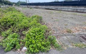★住商-張霞★環鎮東路雙面路大面寬農地