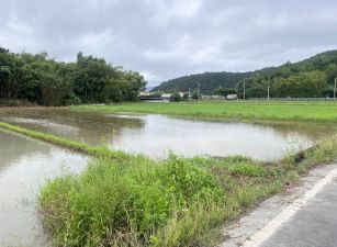 ★住商-張霞★三民台2庚足坪大面寬農地