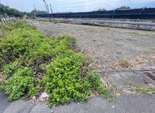 ★住商-張霞★環鎮東路雙面路大面寬農地