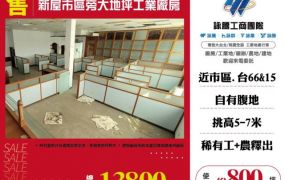 新屋市區旁大地坪工業廠房155