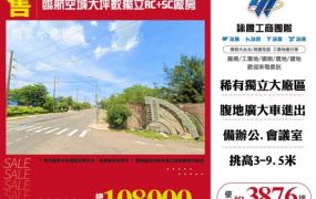 【大勝哥桃園買房】臨航空城大坪數SC+RC獨立廠房