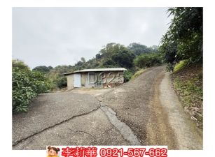 玉井口宵里7010坪農地(可分割)