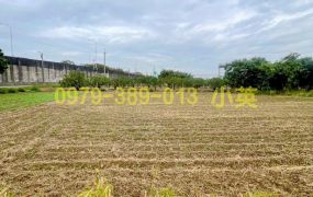 麻豆新樓醫院增值都內農地