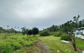 〔原保〕紅葉風景區農地稅籍大平房 B290