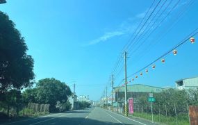 官田西庄5.4分40年柚子園