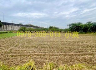 麻豆新樓醫院增值都內農地