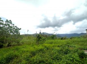 玉里視野佳農地　B293