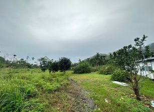 〔原保〕紅葉風景區農地稅籍大平房 B290