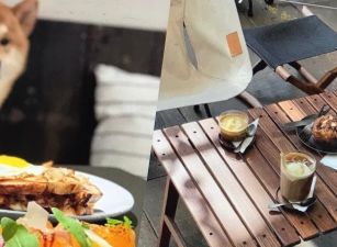 寵物 旅館 農地1200坪 租  四面臨路