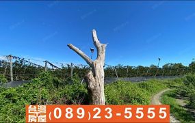 市375_近知本車站都市計畫內土地