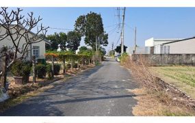 新市近南科前後臨路6分農地