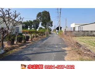 新市近南科前後臨路6分農地