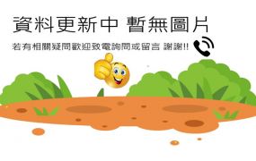 屏東崁頂藍天白雲美農地