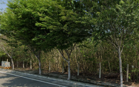 彰化田中高鐵83建地
