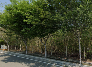 彰化田中高鐵83建地
