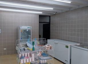 租北斗斗苑路店面