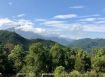 北埔高海拔杉木園休閒屋