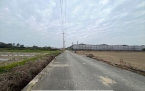 官田6米路2.5分農地(2塊可選)