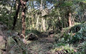 橫山田寮獨立幽靜休閒地