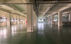 桃園廣豐/大面寬/科技大廠•    桃園工業地、廠房、建地、農地|出租買賣