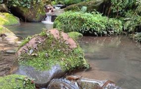 北埔水岸臨溪露營地