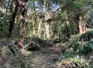 橫山田寮獨立幽靜休閒地