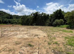 橫山福興村臨路休閒地A