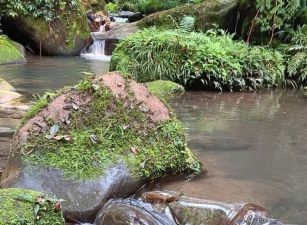 北埔水岸臨溪露營地