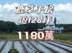 鹿草平房