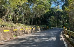 橫山尖筆窩臨路建+農