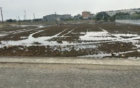育人路小筆美農地11-015    05-2310186