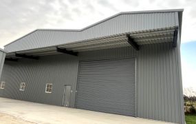 觀音交通用地+全新廠房