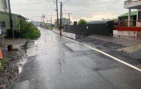 屏東萬丹休閒農地